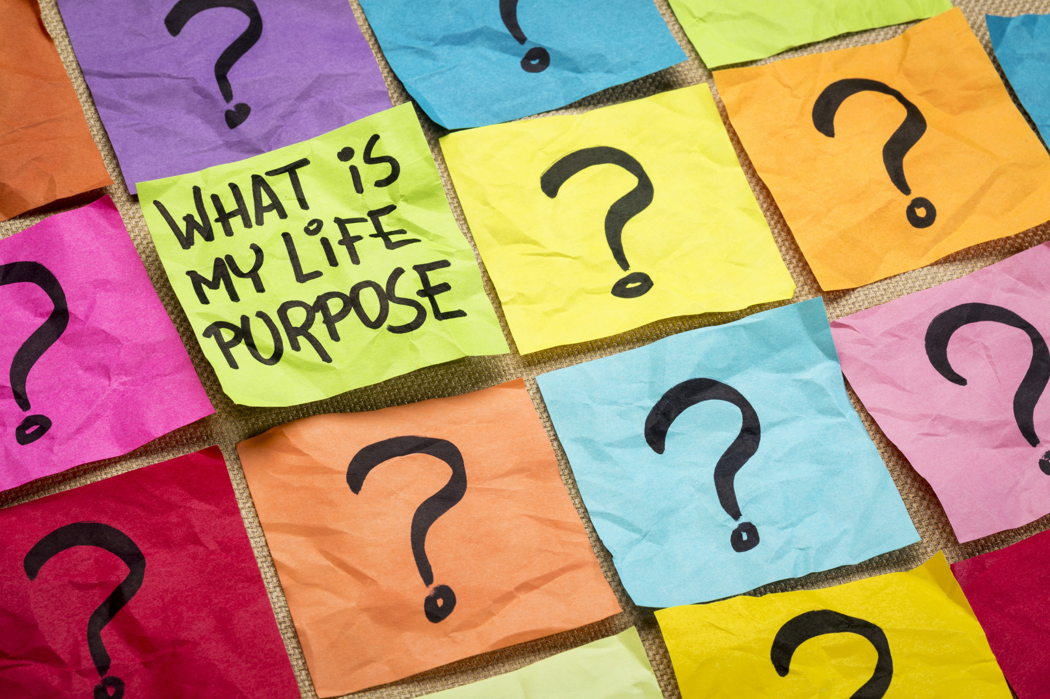 do-you-know-your-purpose-vaishali-patel-psychotherapy