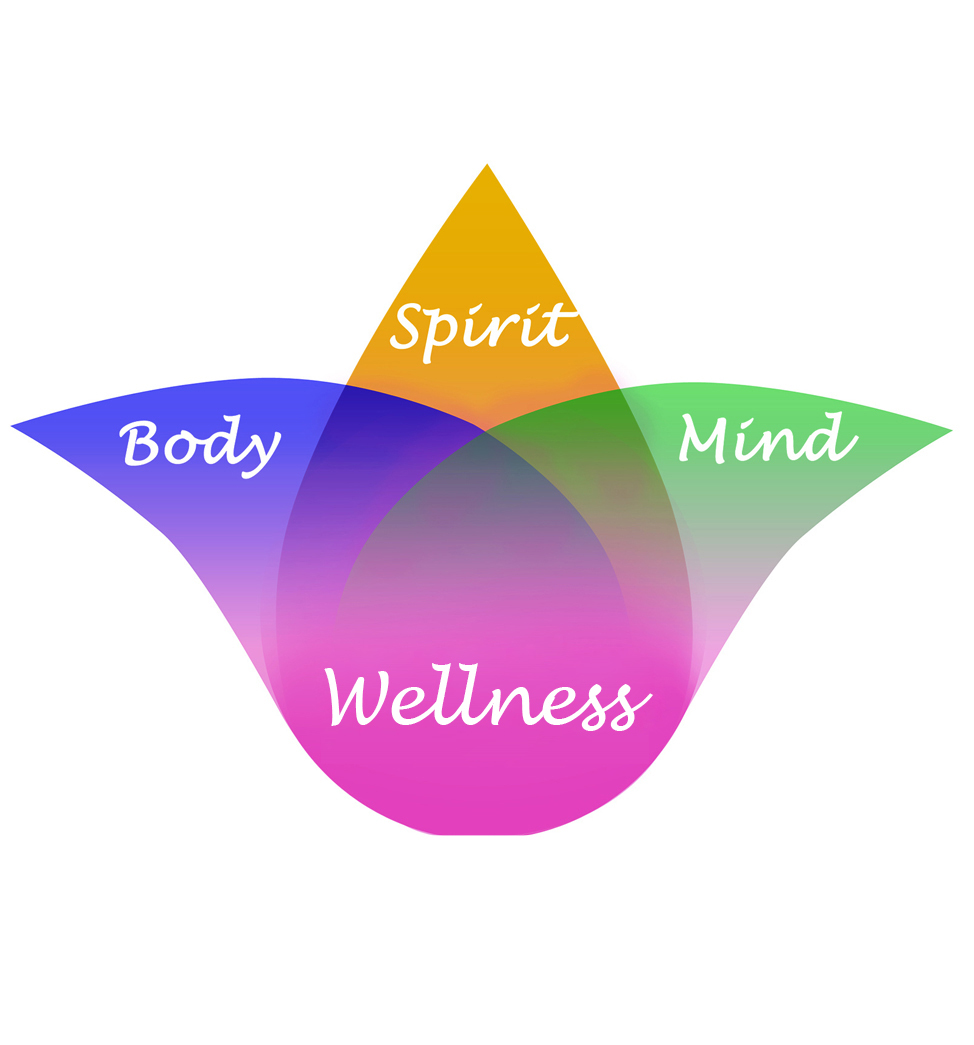 Wellness Planning Process Vaishali Patel Psychotherapy